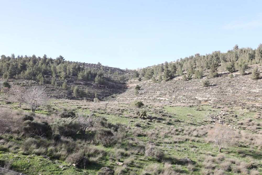 מהסמארטפון שלי